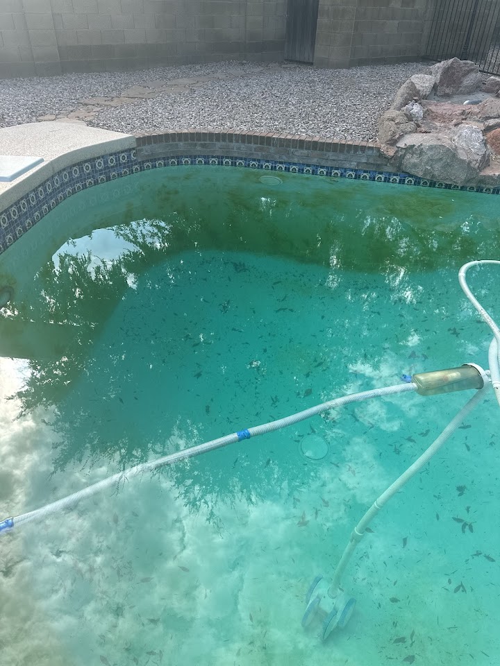 Sandy Bottom Pool Service & Repair project